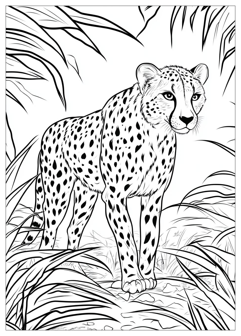 cheetah_coloring_pages_8