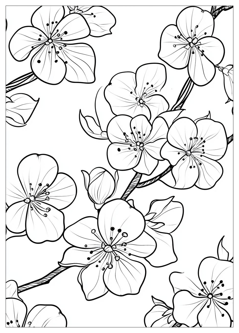cherry_blossom_coloring_pages_1