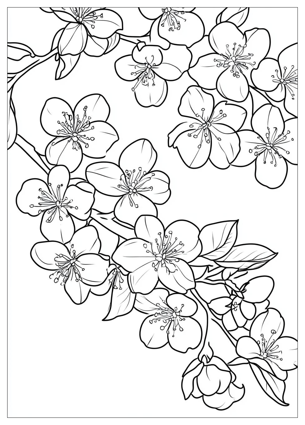 cherry_blossom_coloring_pages_10