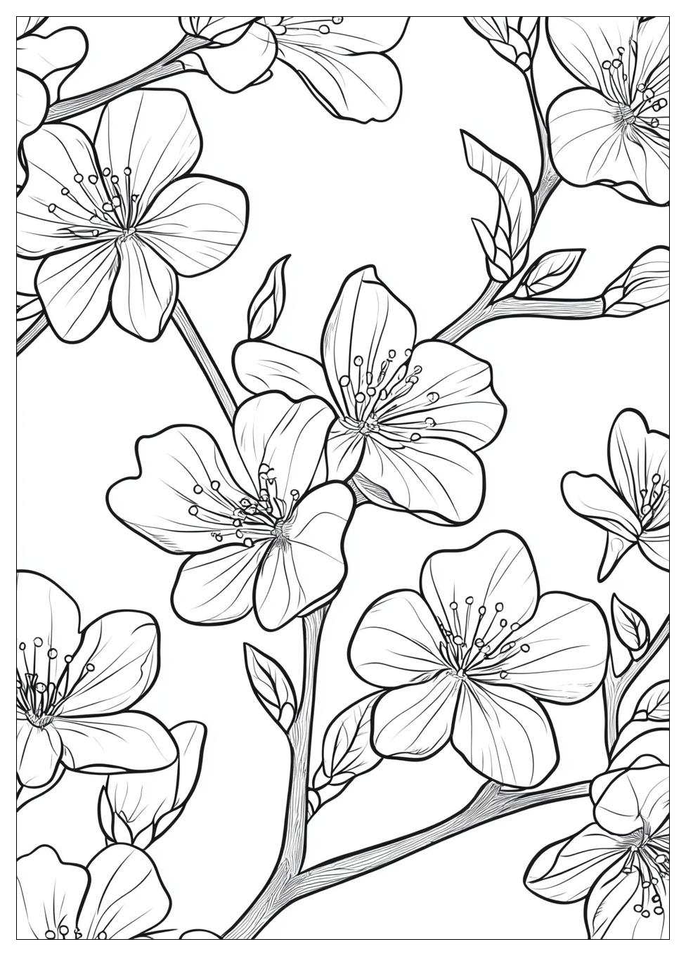 cherry_blossom_coloring_pages_11