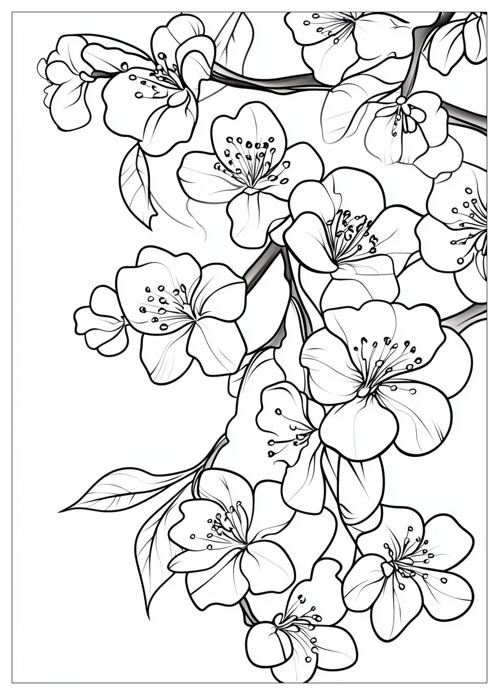 cherry_blossom_coloring_pages_12