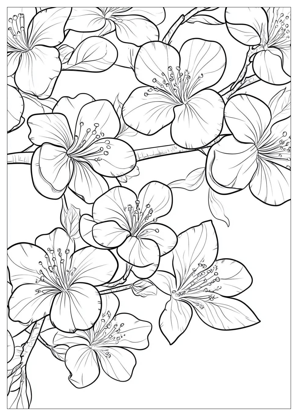 cherry_blossom_coloring_pages_13