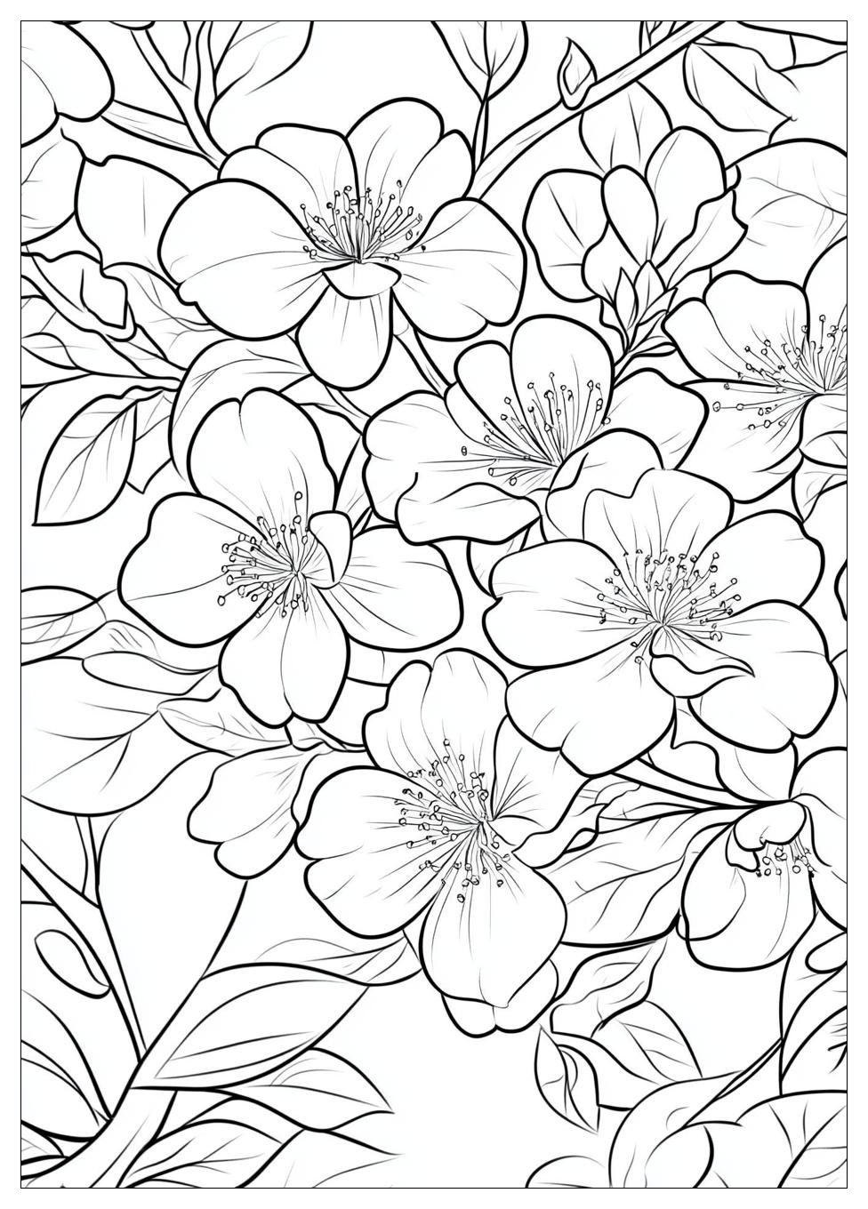 cherry_blossom_coloring_pages_14
