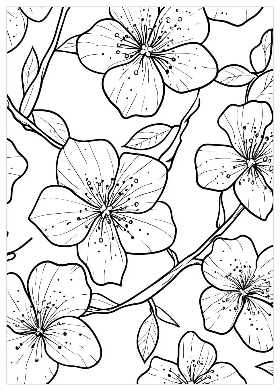 cherry_blossom_coloring_pages_16