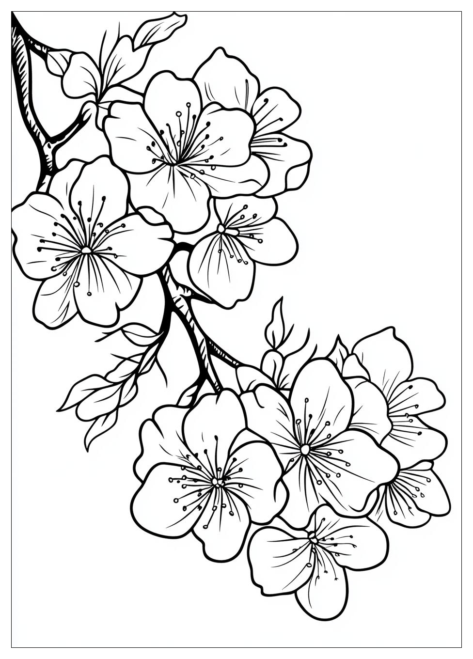 cherry_blossom_coloring_pages_18