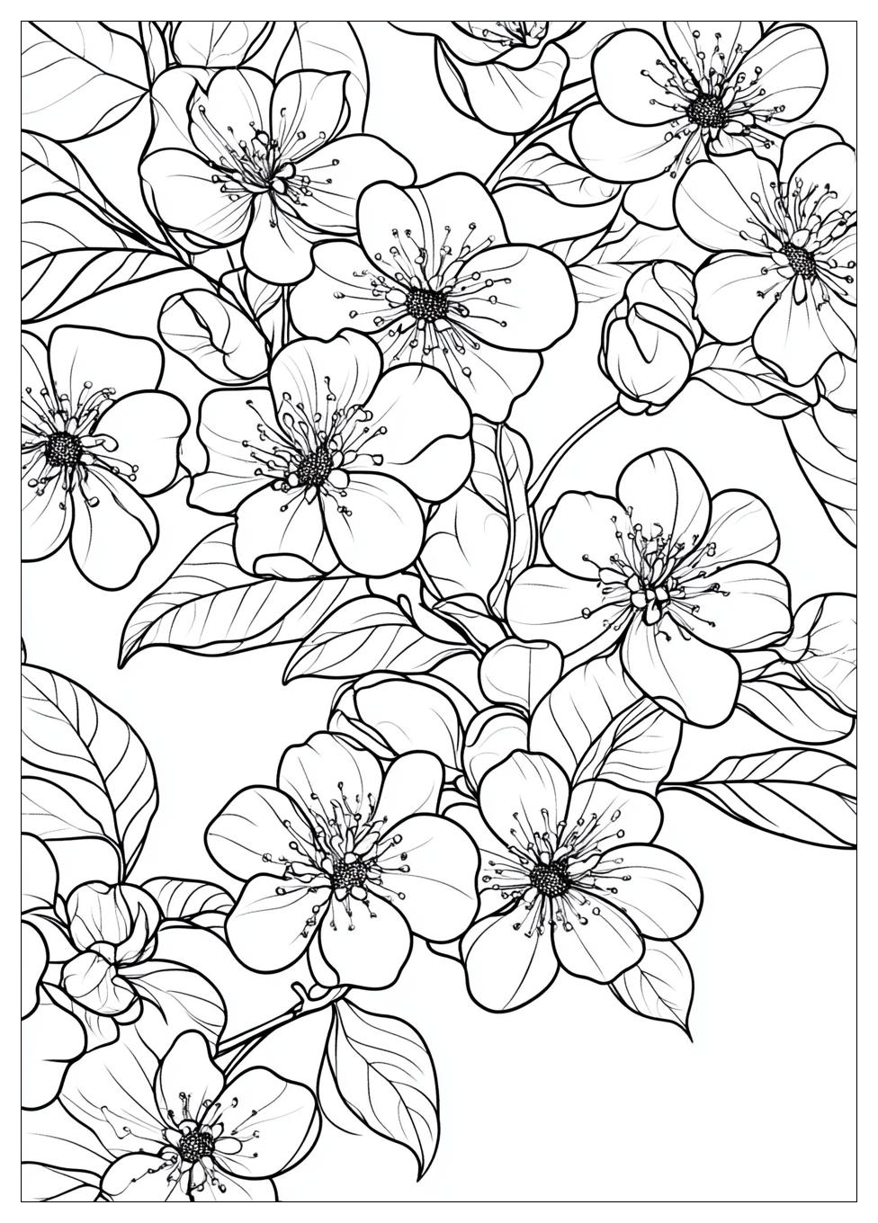 cherry_blossom_coloring_pages_19