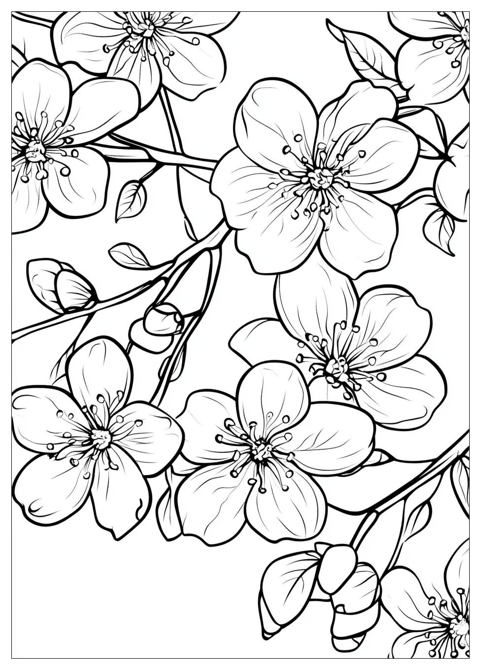 cherry_blossom_coloring_pages_2