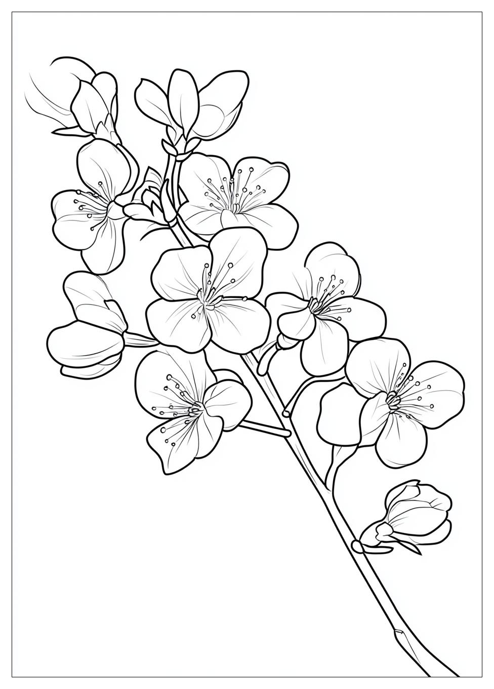 cherry_blossom_coloring_pages_20