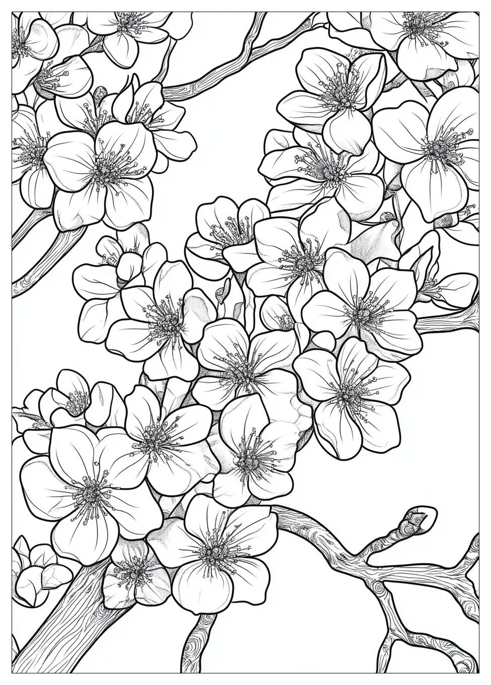 cherry_blossom_coloring_pages_21