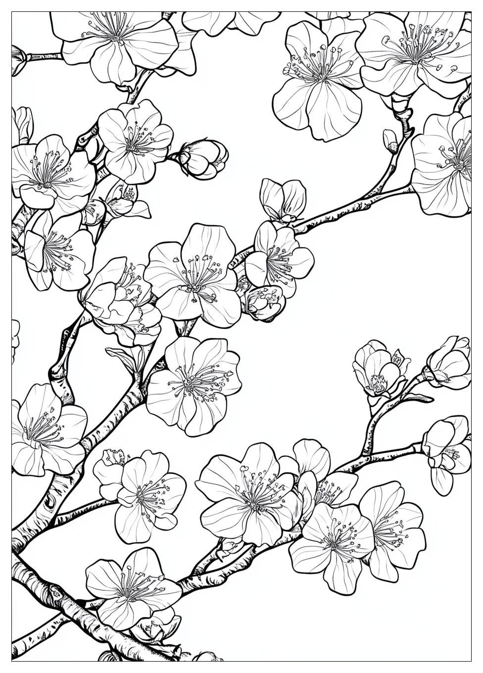 cherry_blossom_coloring_pages_22