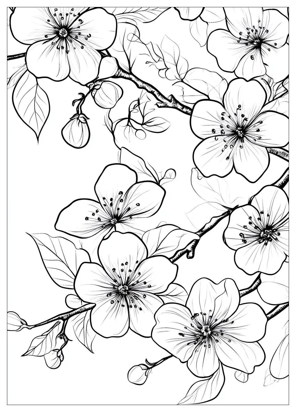 cherry_blossom_coloring_pages_23
