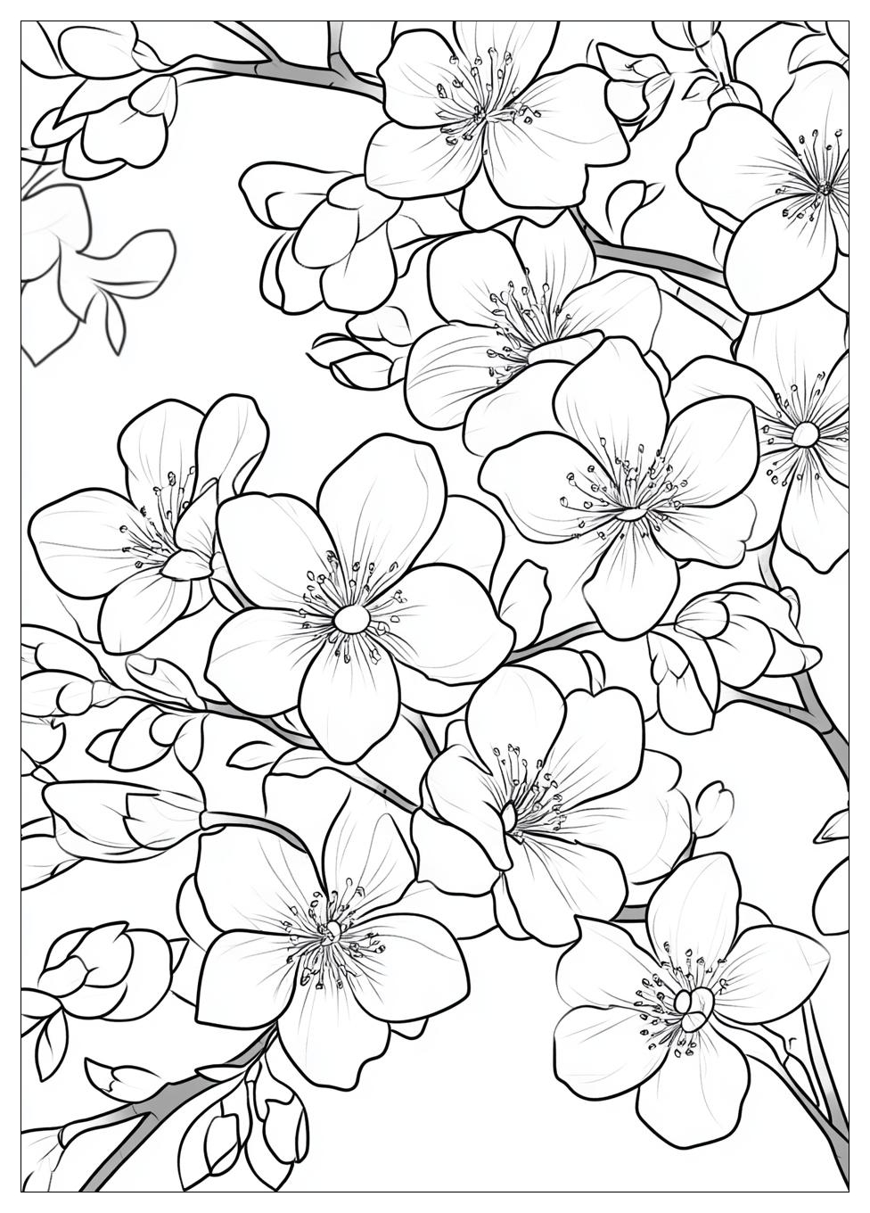 cherry_blossom_coloring_pages_3
