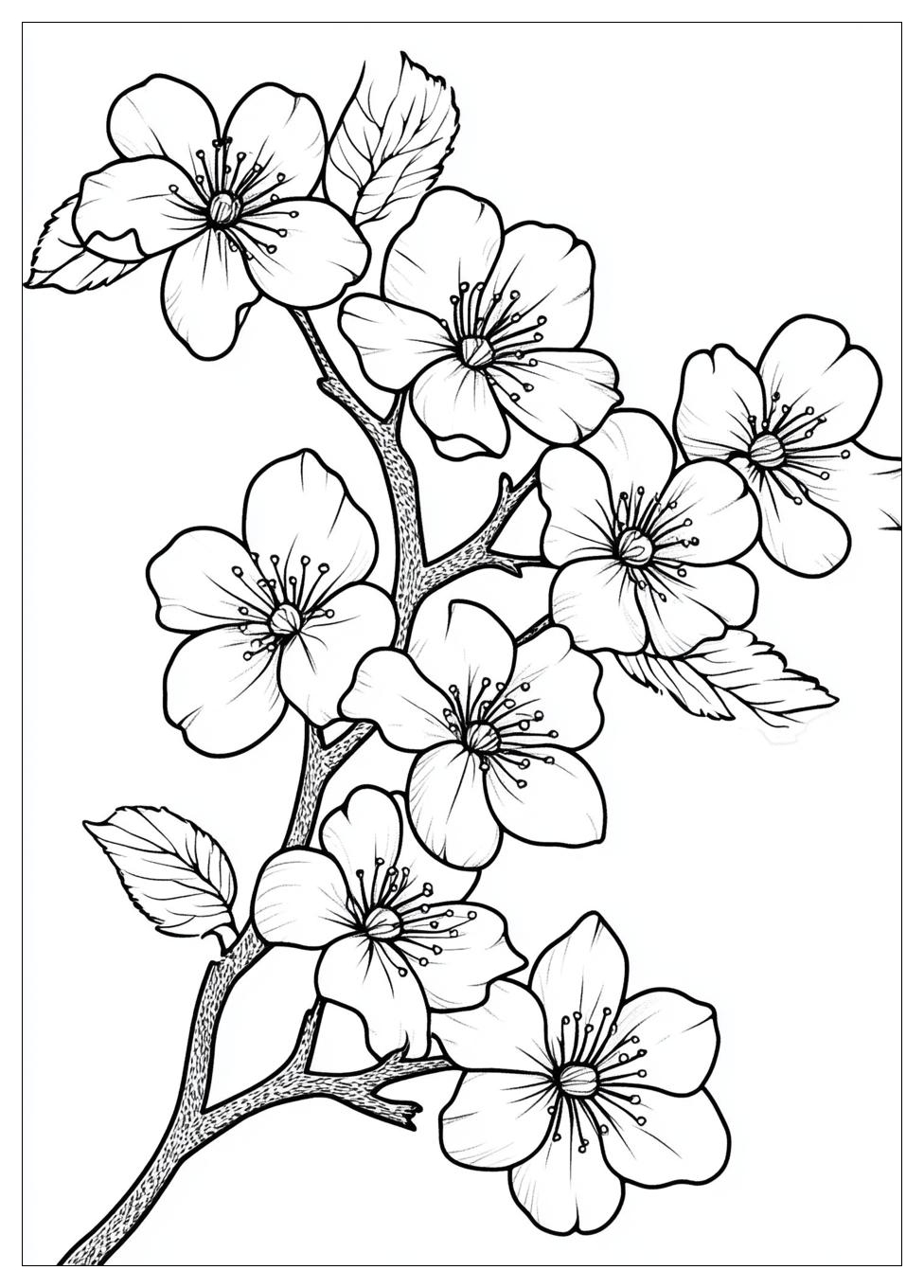 cherry_blossom_coloring_pages_5