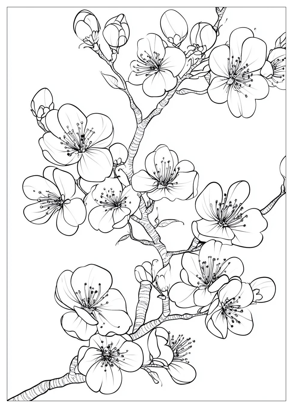 cherry_blossom_coloring_pages_6