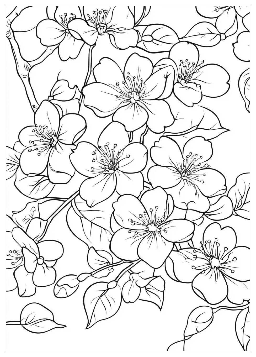 cherry_blossom_coloring_pages_7