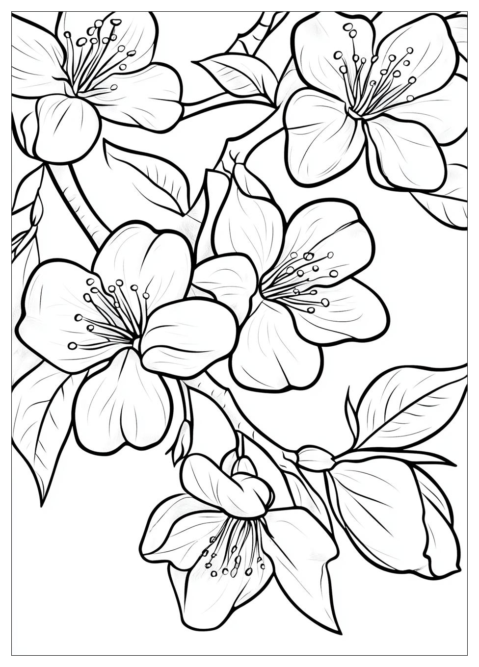 cherry_blossom_coloring_pages_8