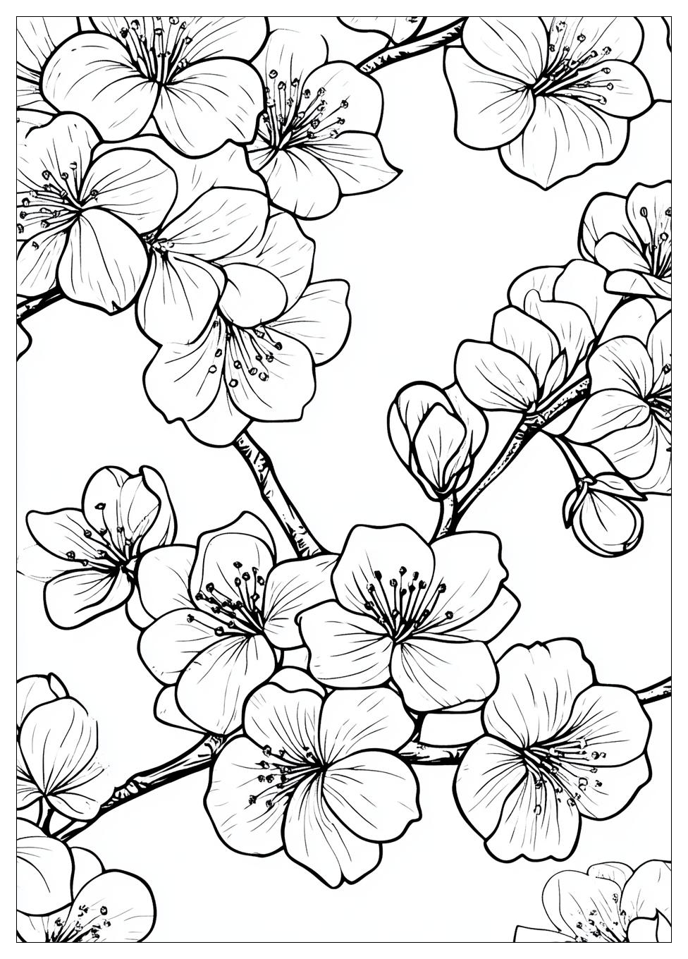 cherry_blossom_coloring_pages_9
