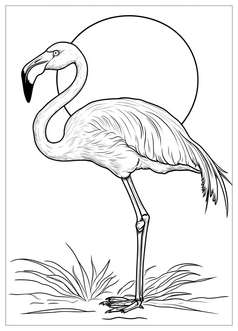 flamingo_coloring_pages_1