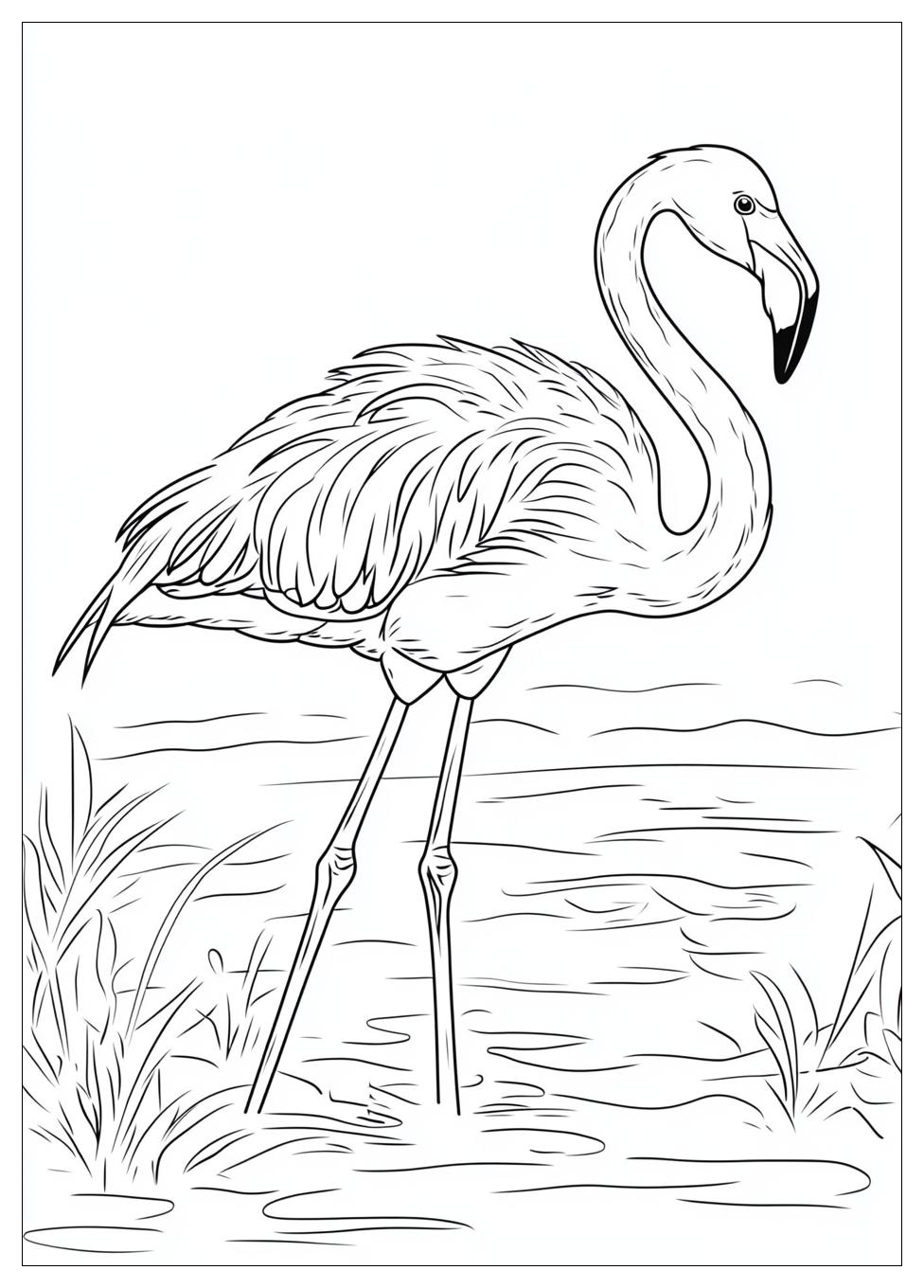 flamingo_coloring_pages_15