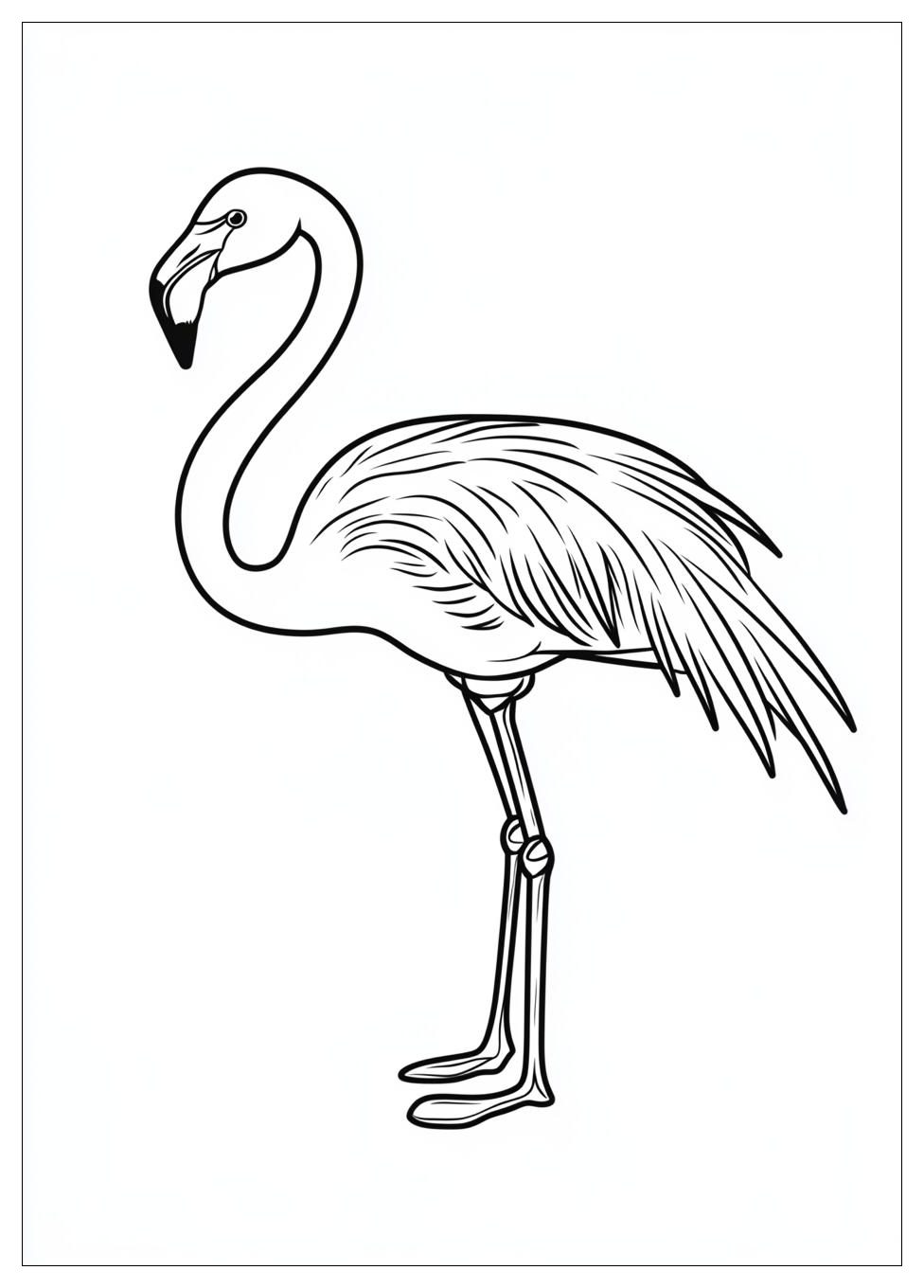 flamingo_coloring_pages_16