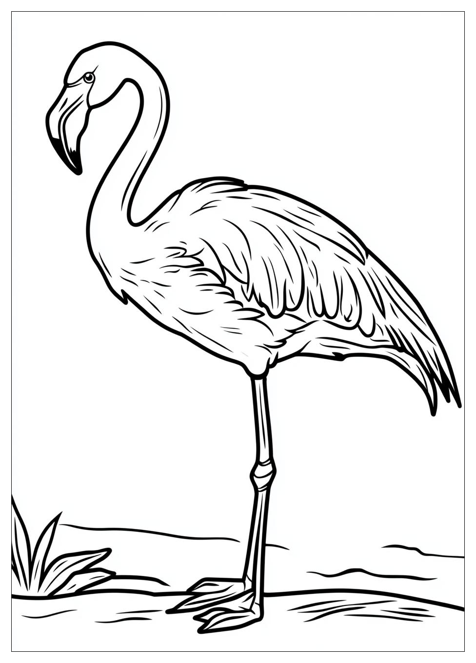 flamingo_coloring_pages_2