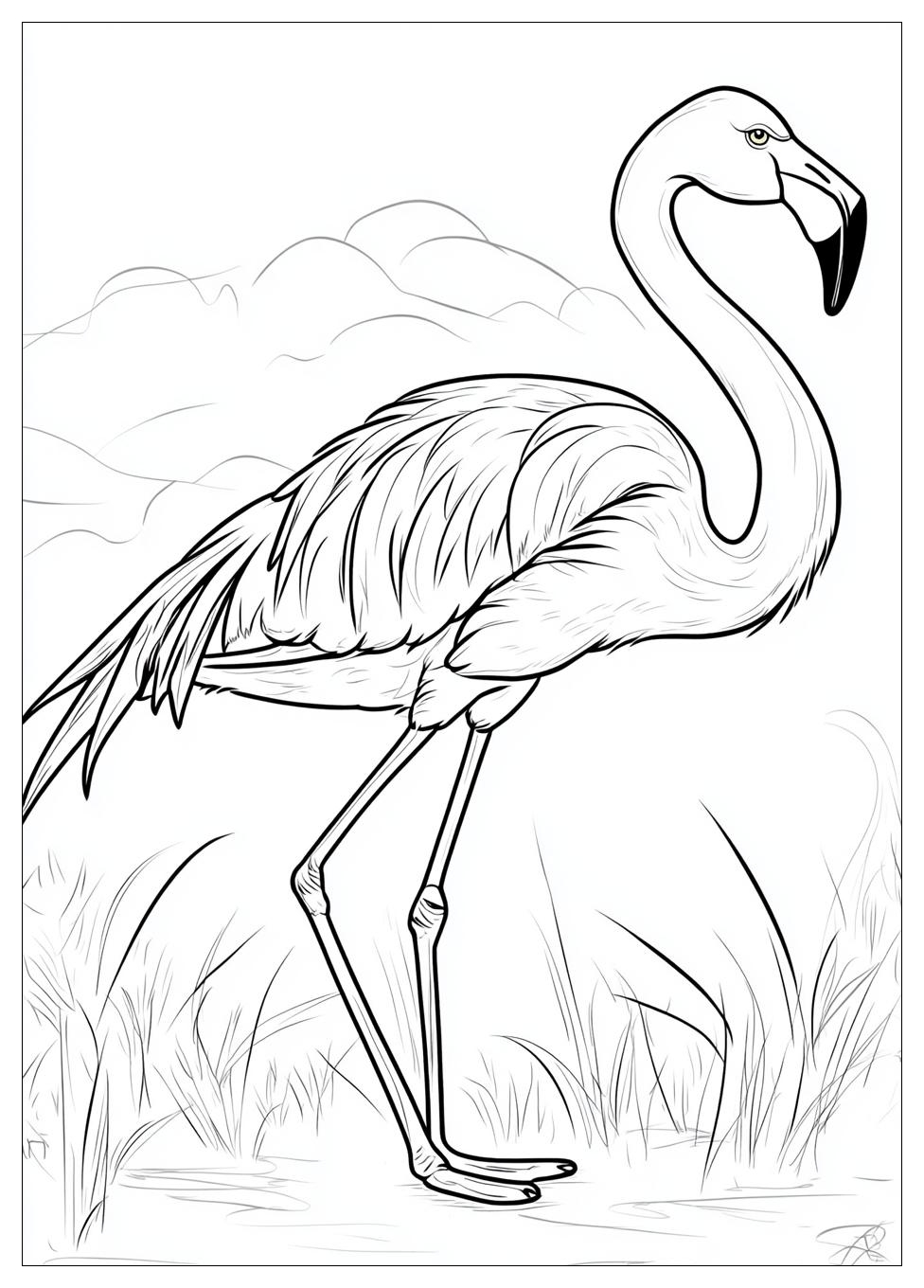 flamingo_coloring_pages_6