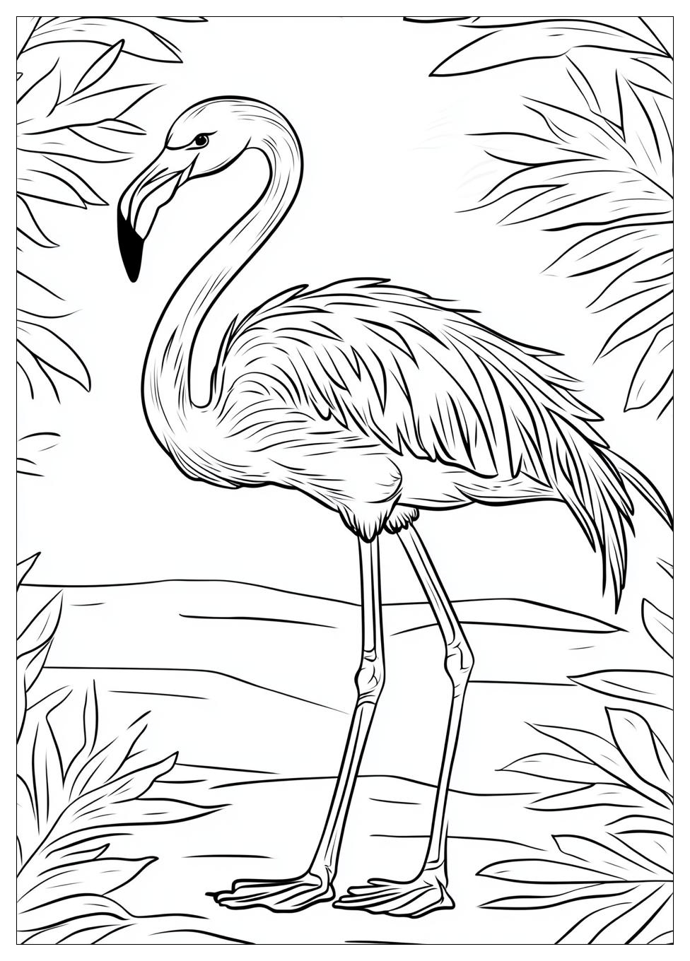 flamingo_coloring_pages_9
