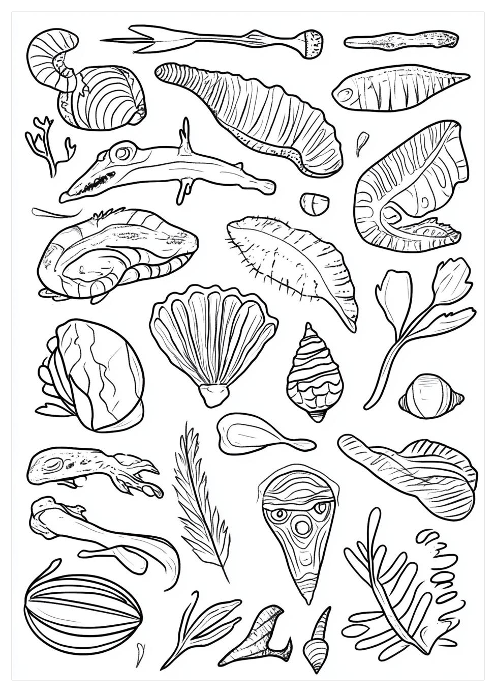 fossil_coloring_pages_10