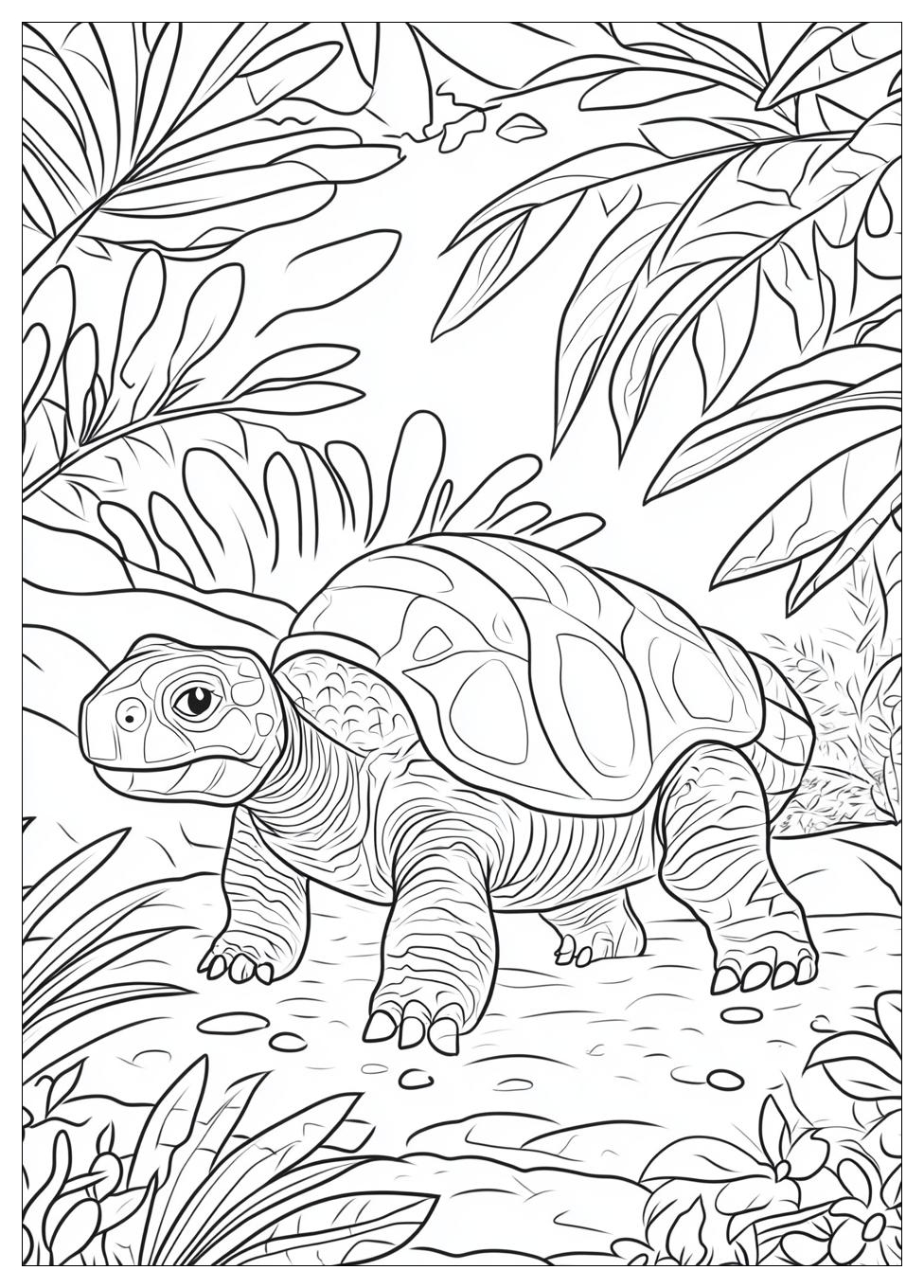 fossil_coloring_pages_5
