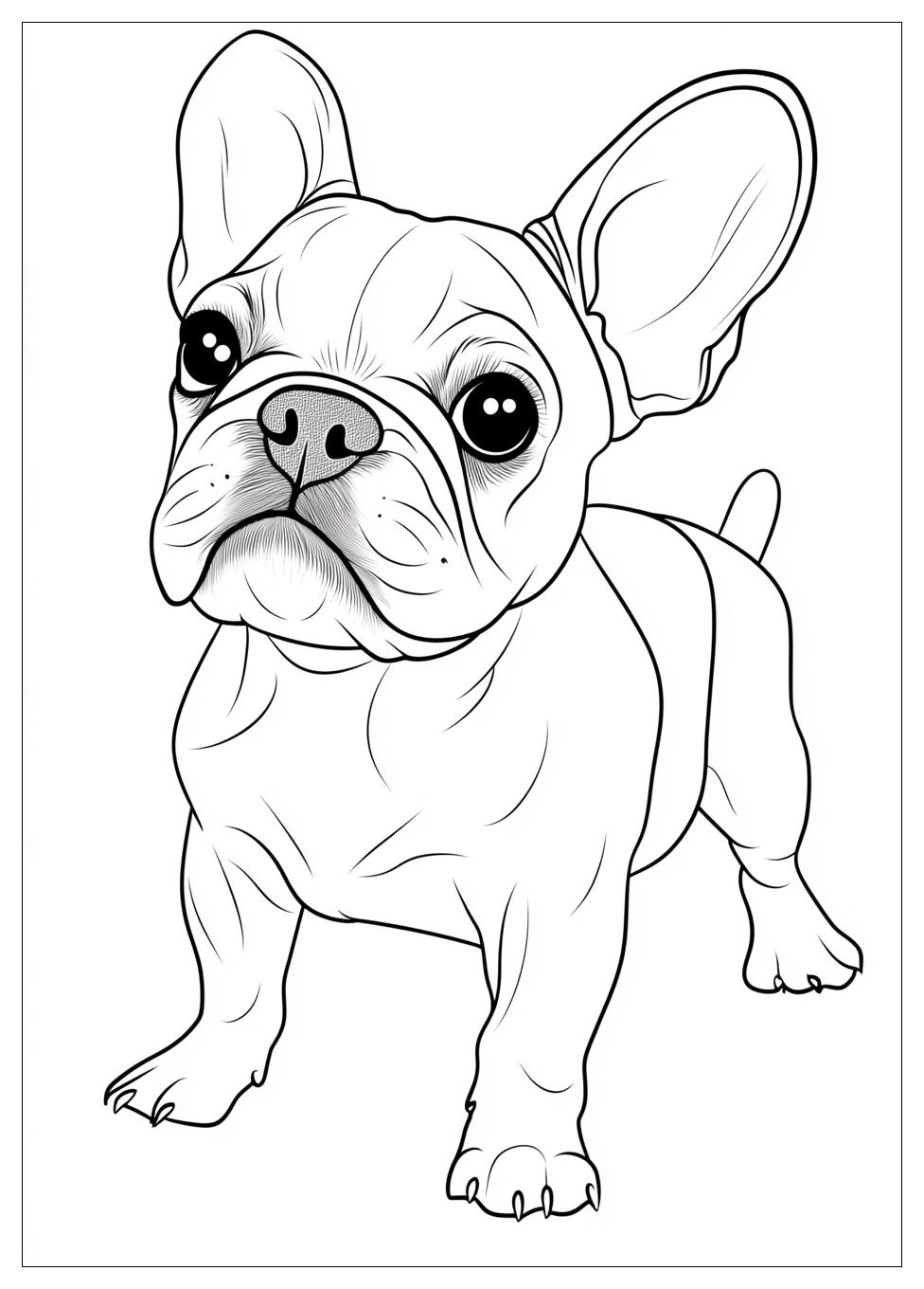 french_bulldog_coloring_pages_10