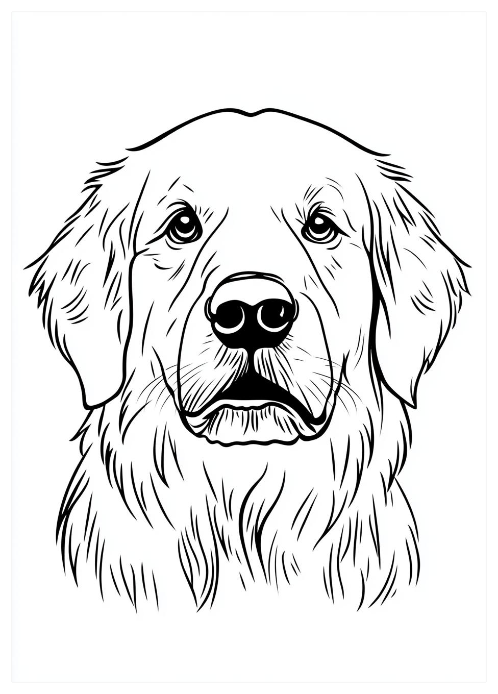 golden_retriever_coloring_page_1