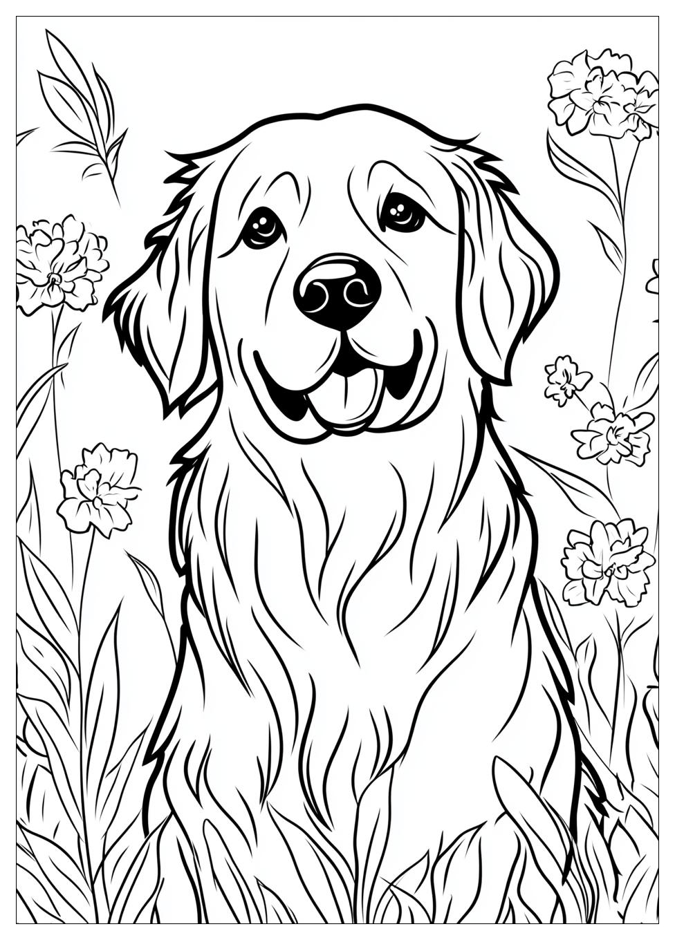 golden_retriever_coloring_page_17