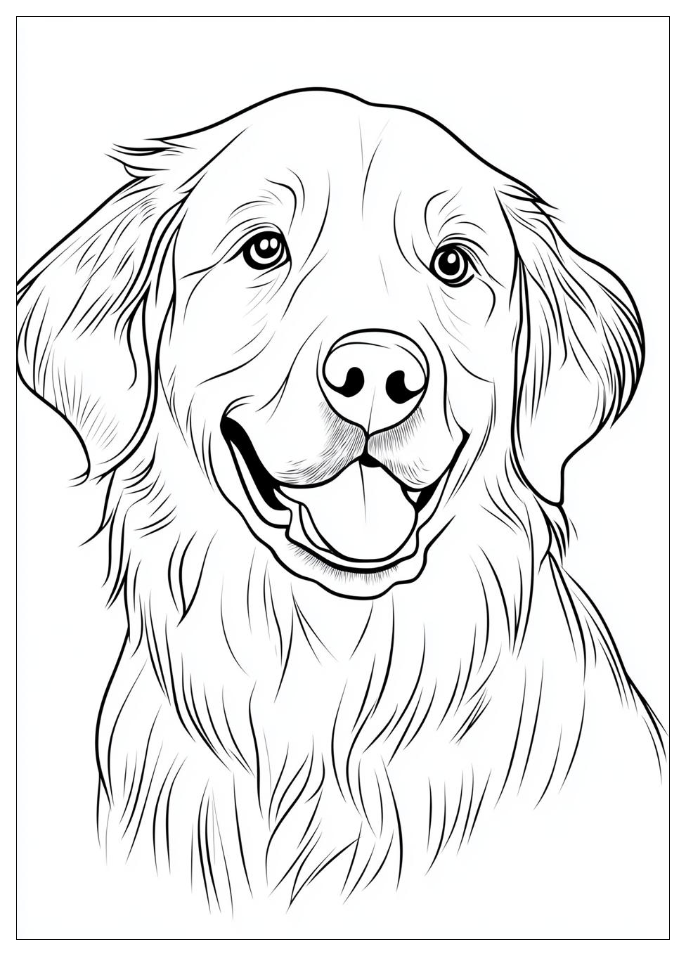 golden_retriever_coloring_page_20