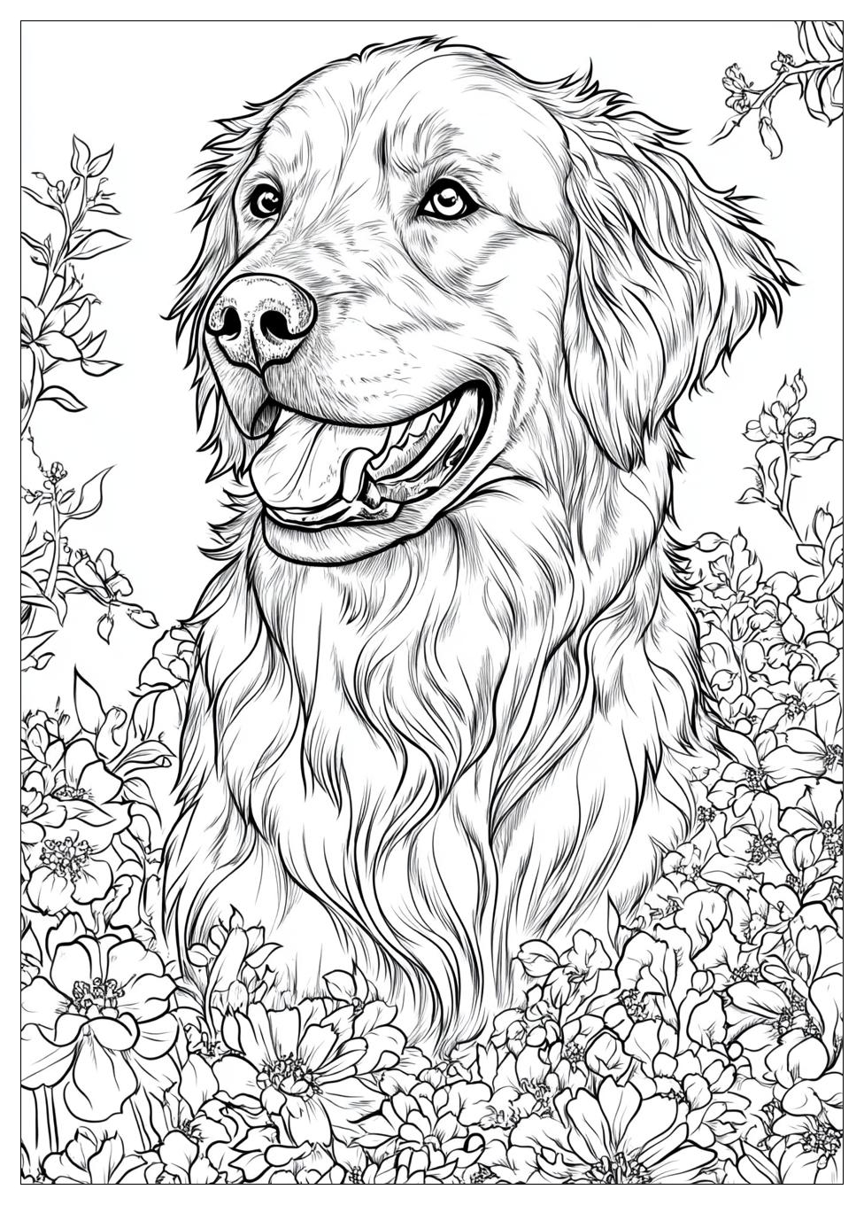 golden_retriever_coloring_page_21