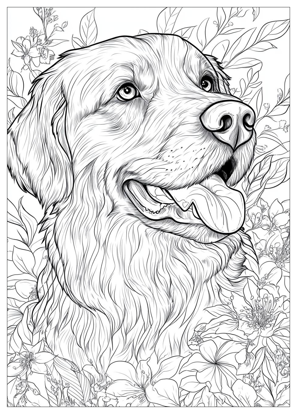 golden_retriever_coloring_page_24