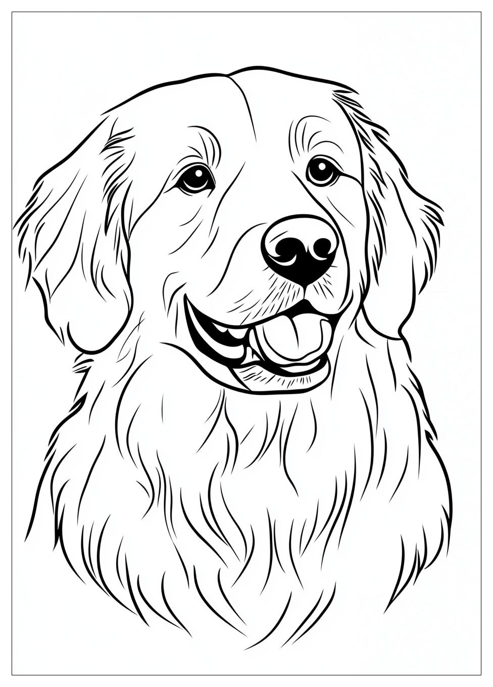 golden_retriever_coloring_page_4
