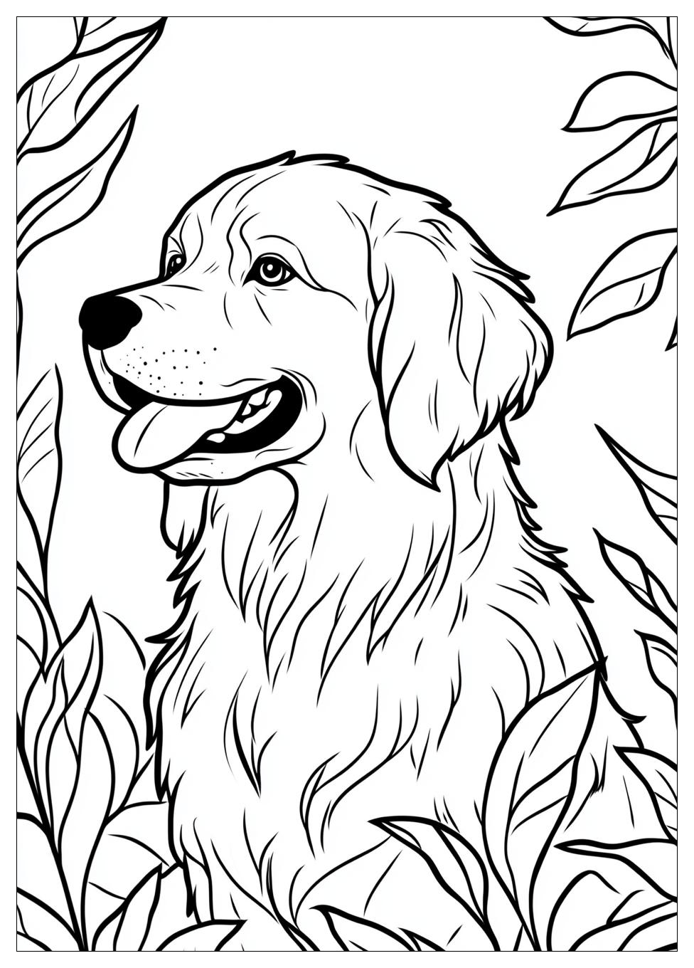 golden_retriever_coloring_page_5
