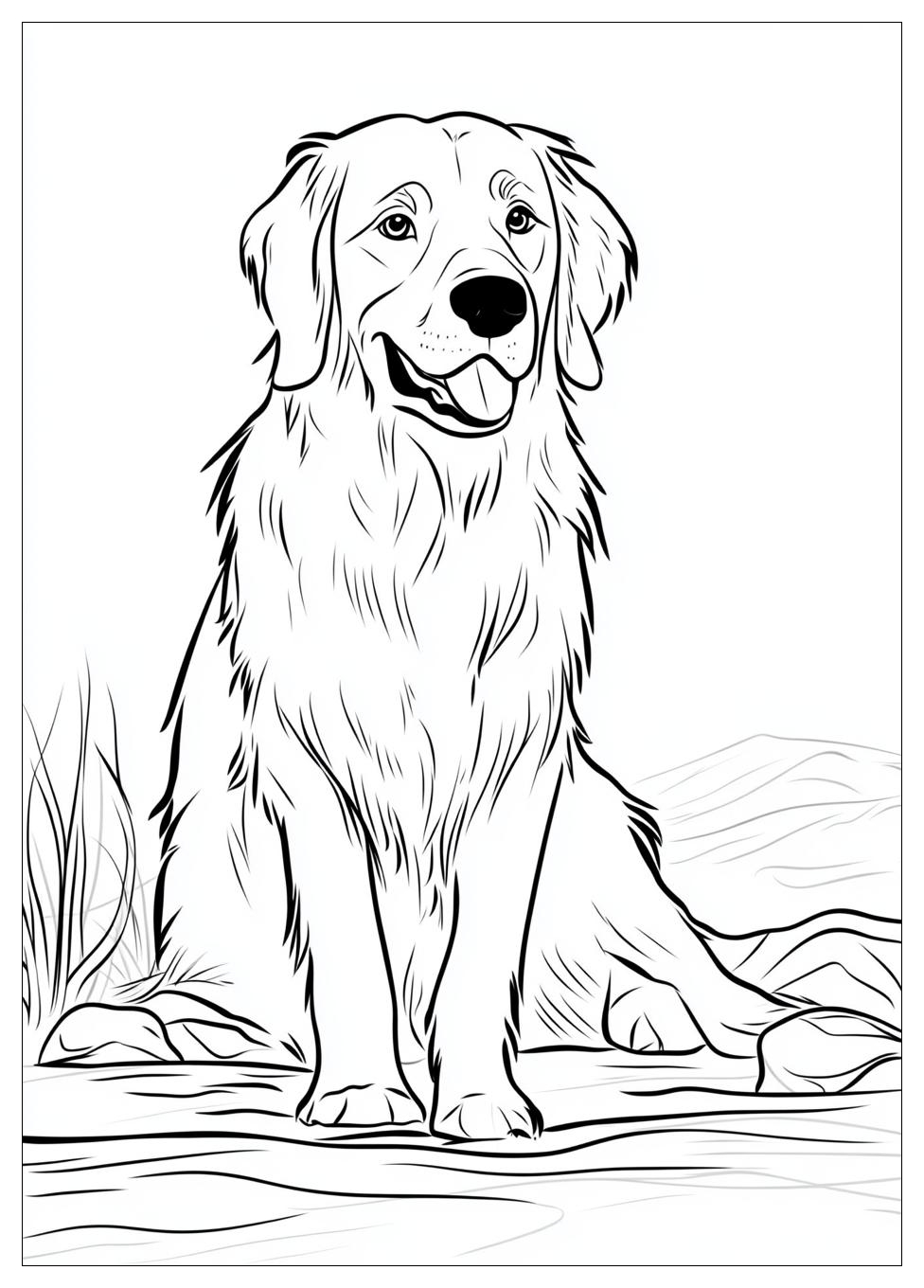 golden_retriever_coloring_page_7