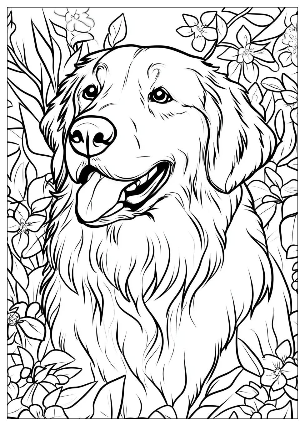 golden_retriever_coloring_page_8