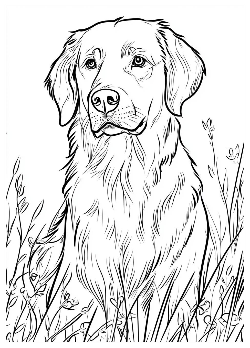 golden_retriever_coloring_page_9