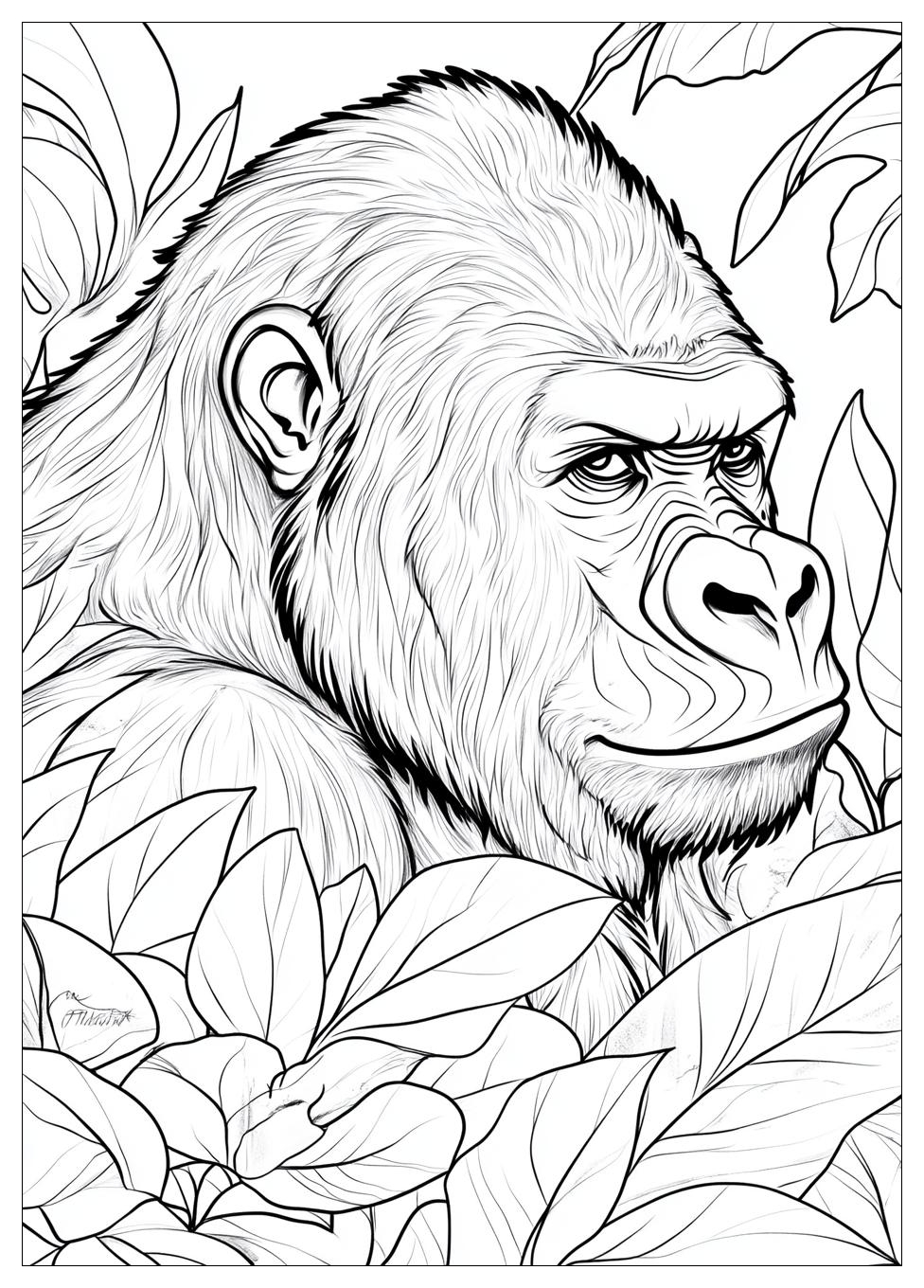 gorilla_coloring_pages_20