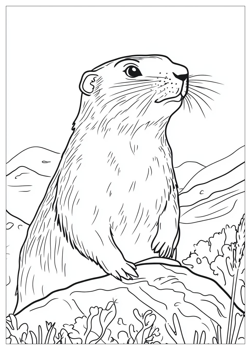 groundhog_coloring_pages_1