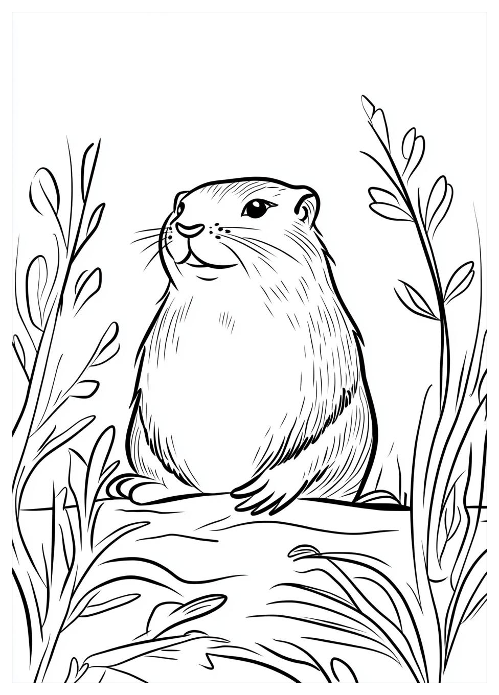 groundhog_coloring_pages_12