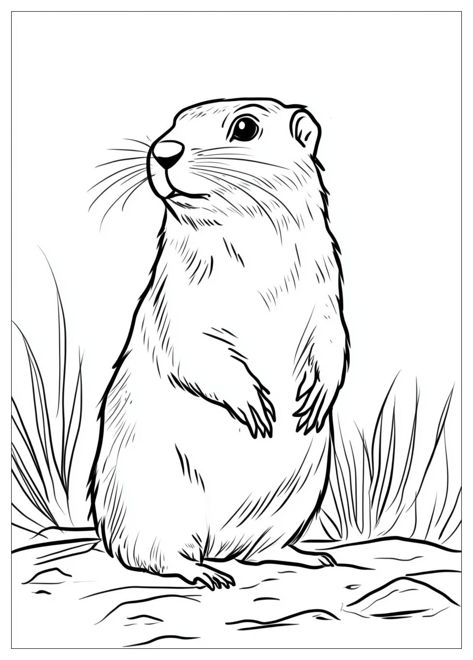 groundhog_coloring_pages_13