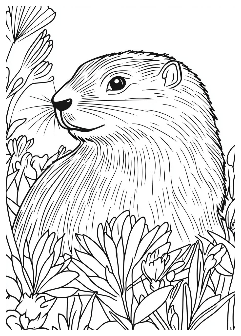 groundhog_coloring_pages_15