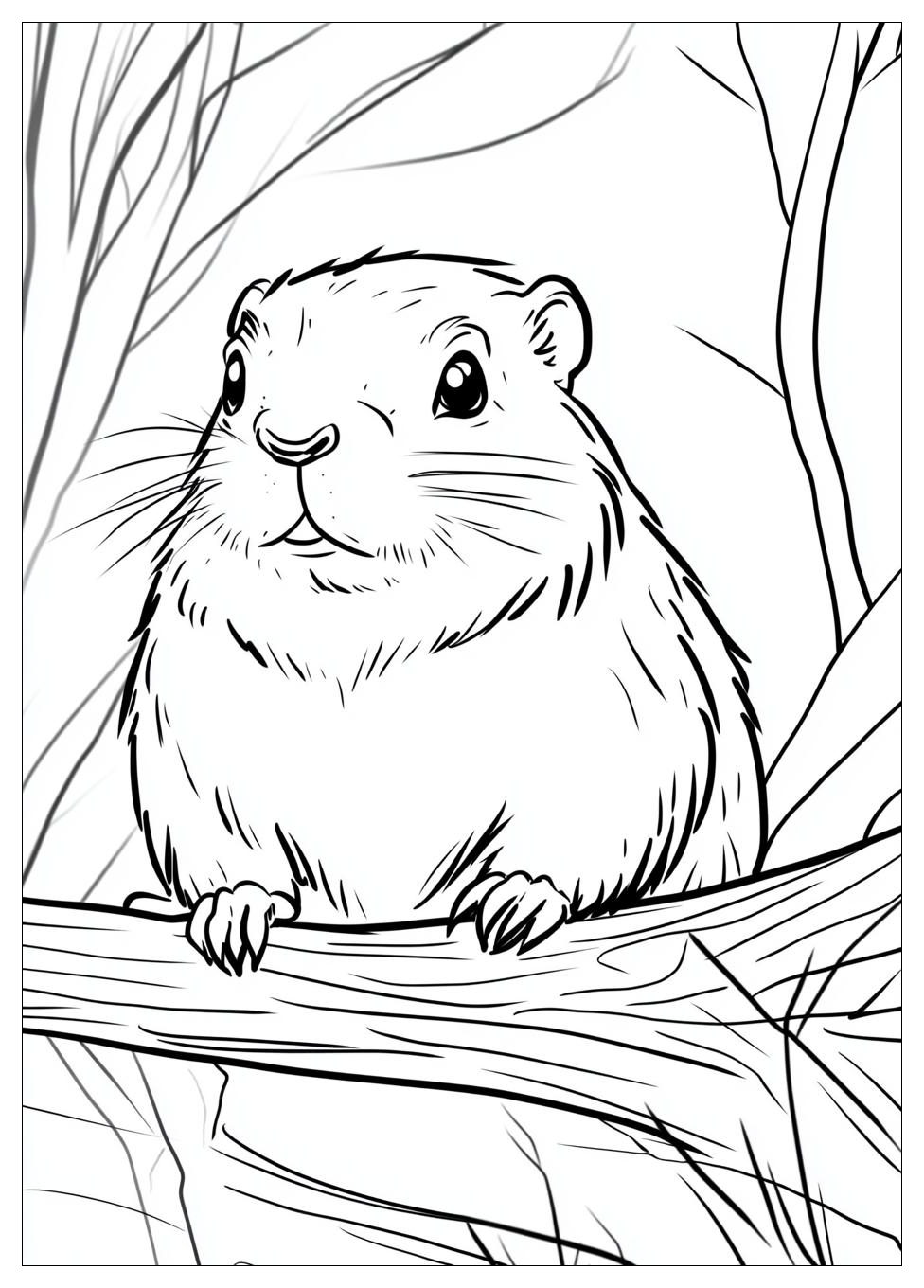 groundhog_coloring_pages_17