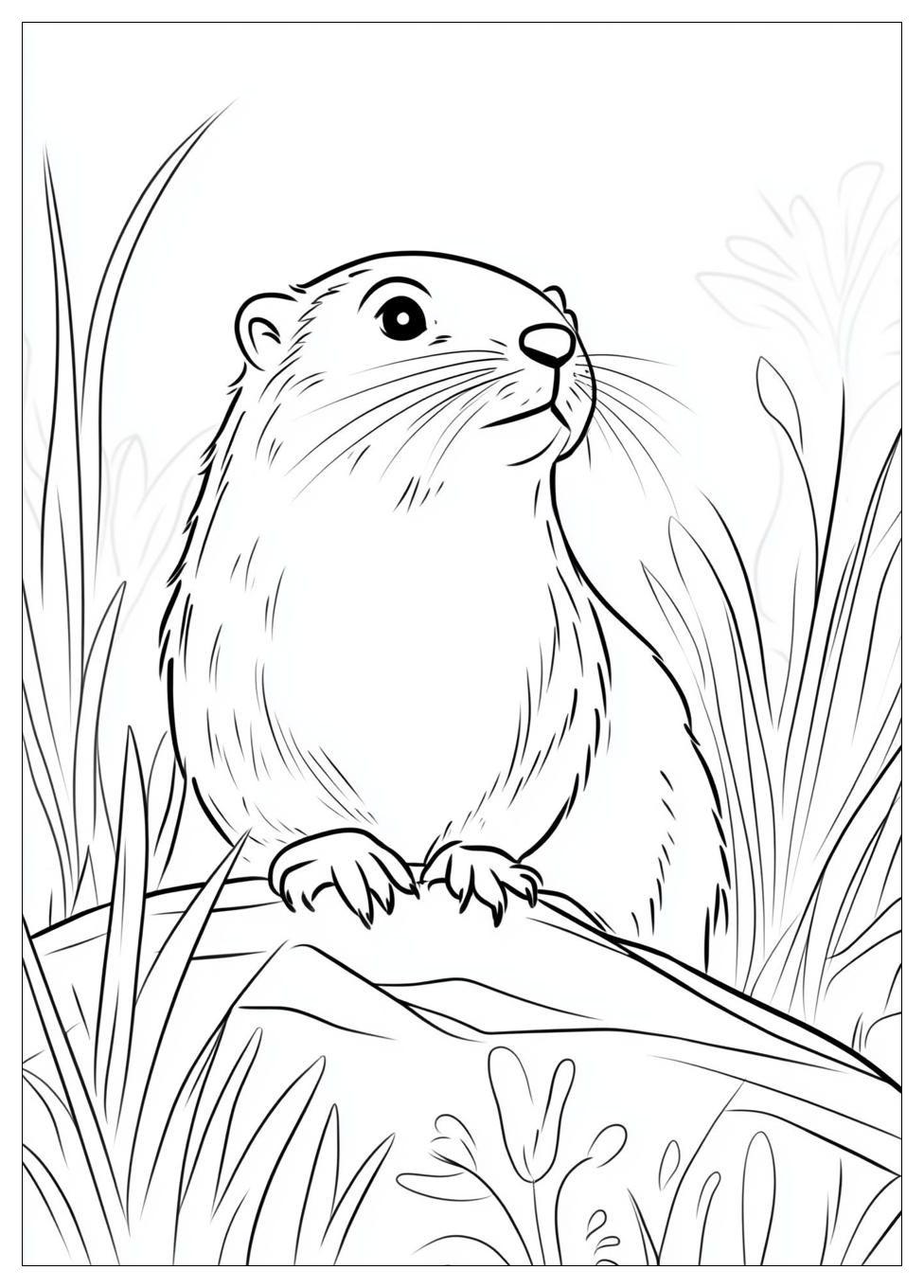 groundhog_coloring_pages_18