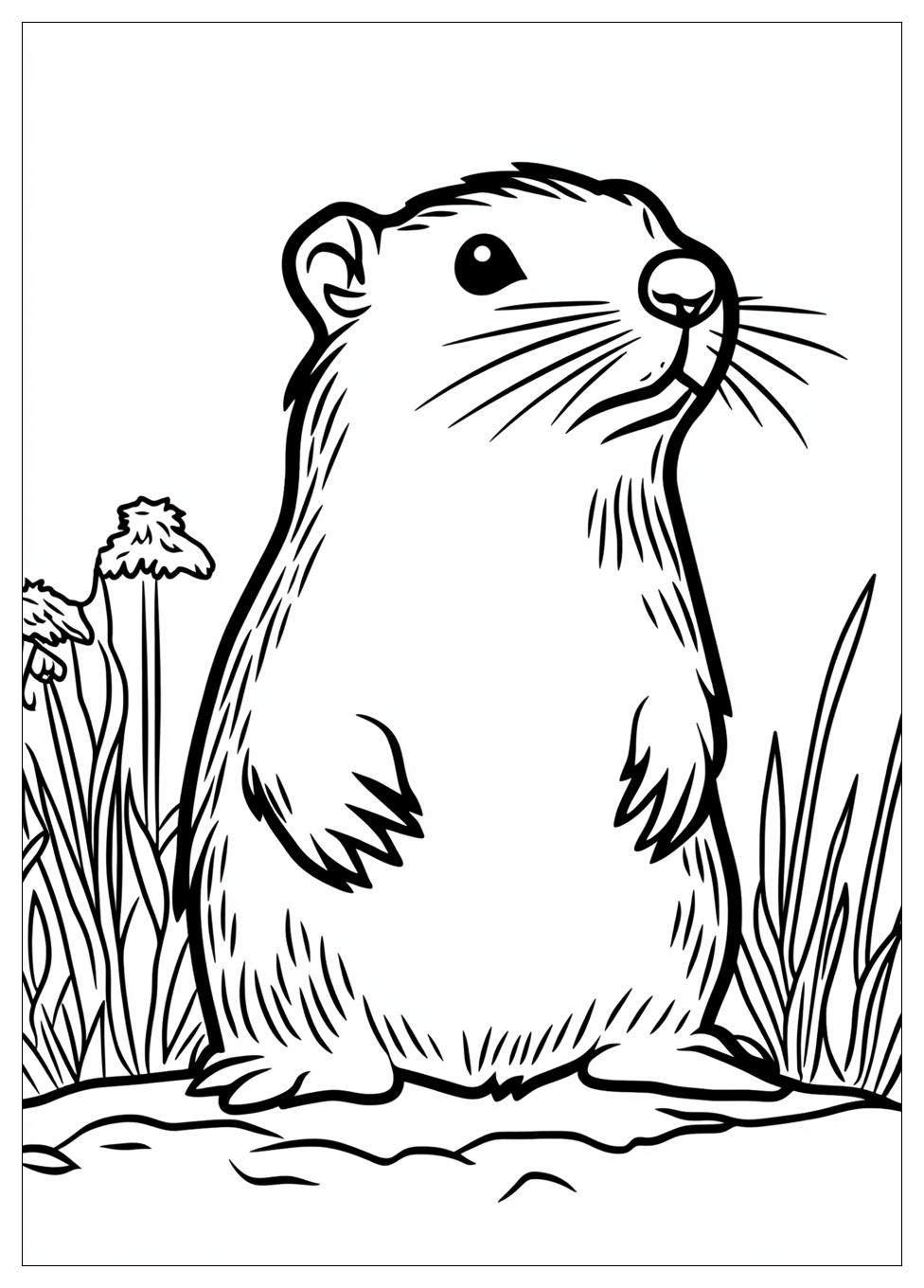 groundhog_coloring_pages_3