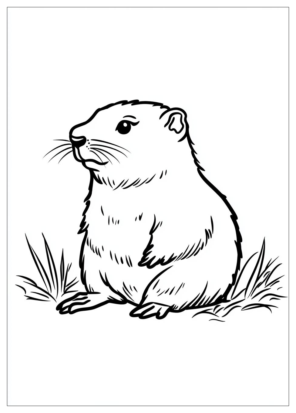 groundhog_coloring_pages_6