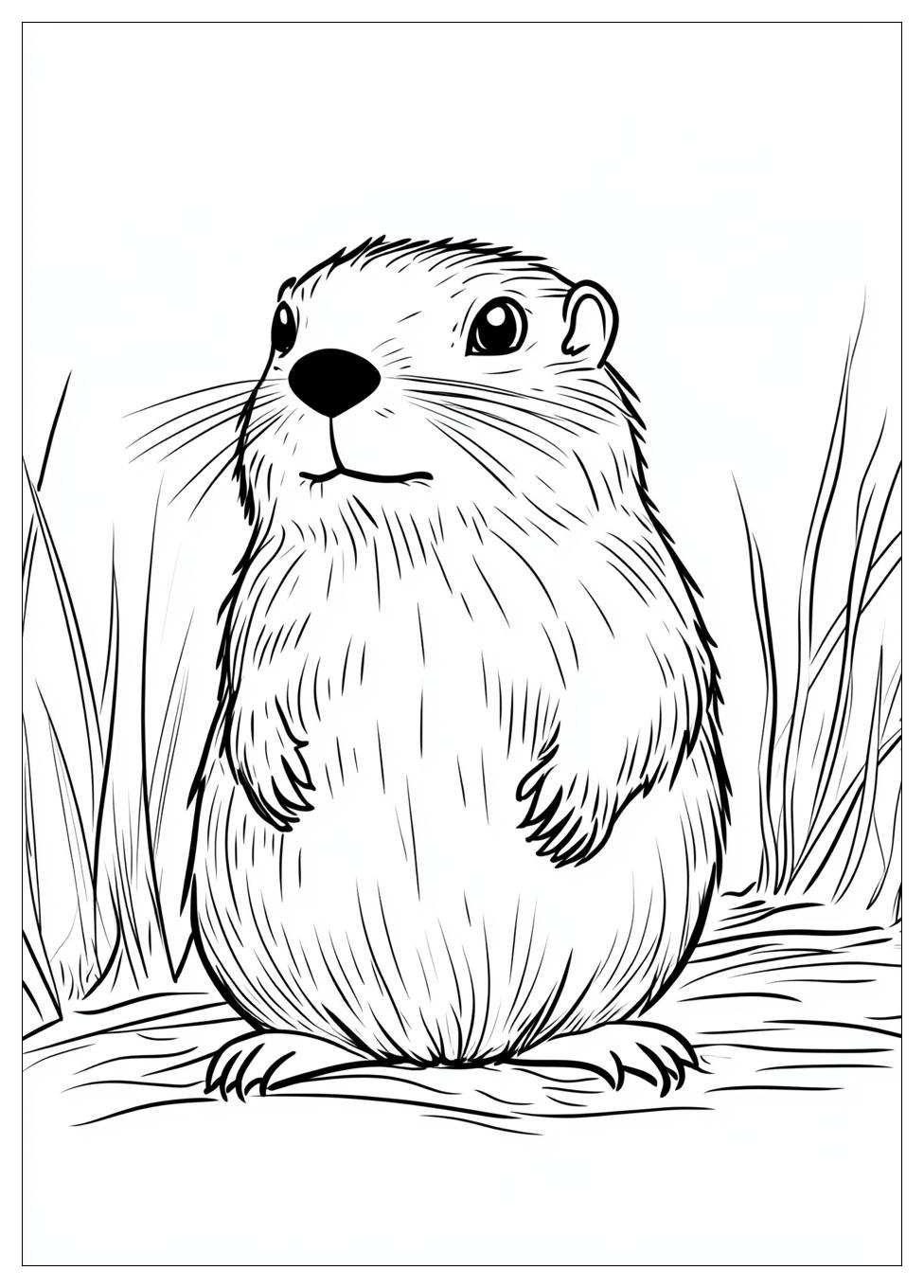 groundhog_coloring_pages_7